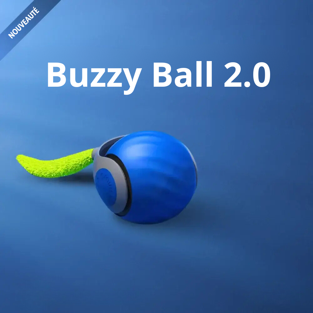 Buzzy Ball 2.0